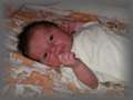 juin2006_014.jpg